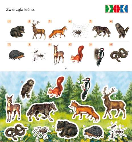 przykładowa-strona-z-zagadkami-o-zwierzętach-leśnych-z-książeczki-z-serii-PUS-Idę-do-szkoły-1.png